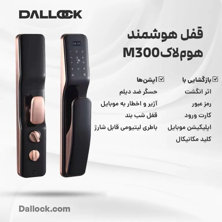 عکس اینفوگرافی دستگیره دیجیتال هوم لاک مدل M300
